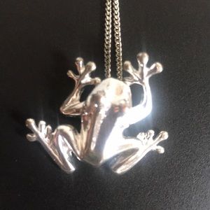 Silver frog necklace